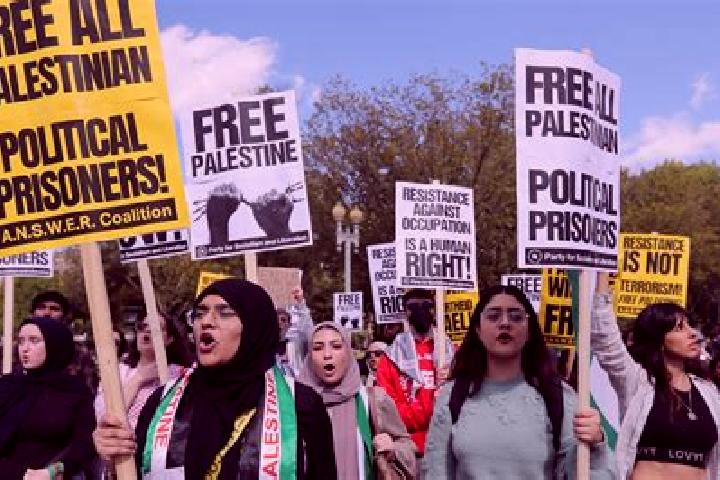 Escorts Al Buwayb, Palestine — Local Companions