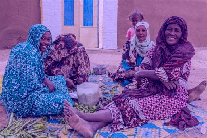 Escorts Al Hilaliyya, Sudan — Local Companions