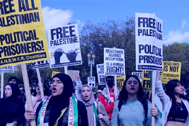 Escorts Al Janiyah, Palestine — Local Companions