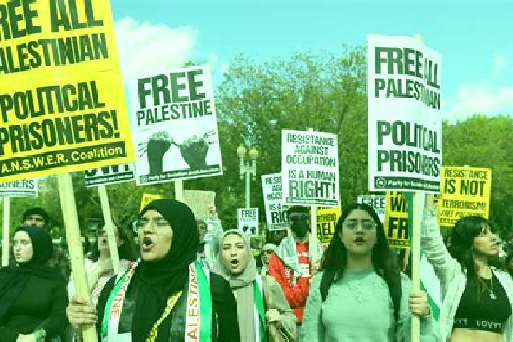 Escorts Al Judayrah, Palestine — Local Companions