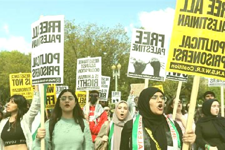 Escorts Al Karmil, Palestine — Local Companions
