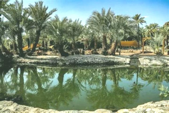 Escorts Al-Kharijah, Egypt — Local Companions