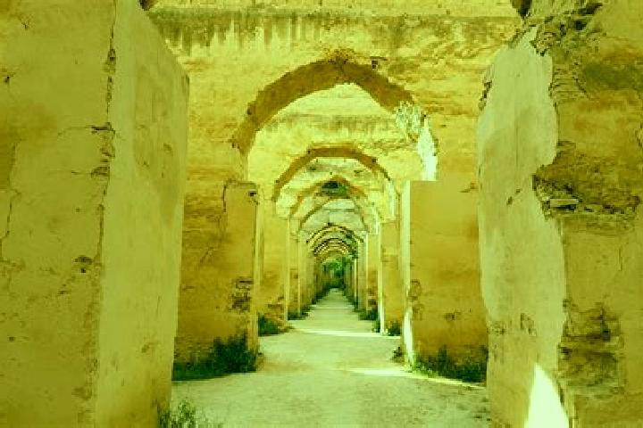 Escorts Al Machouar - Stinia, Morocco — Local Companions