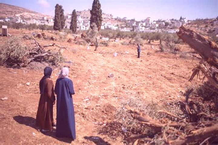 Escorts Al Mughayyir, Palestine — Local Companions
