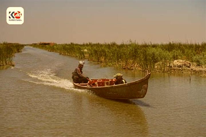 Escorts Al-Musayab, Iraq — Local Companions