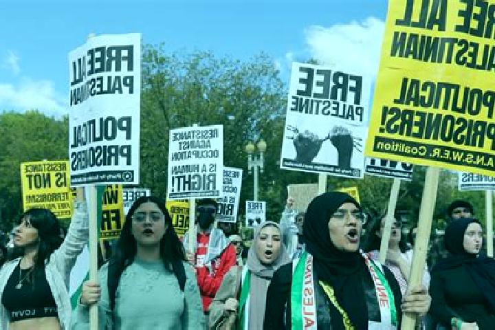 Escorts Al Ubaydiyah, Palestine — Local Companions