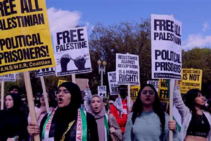 Escorts Al Yamun, Palestine — Local Companions