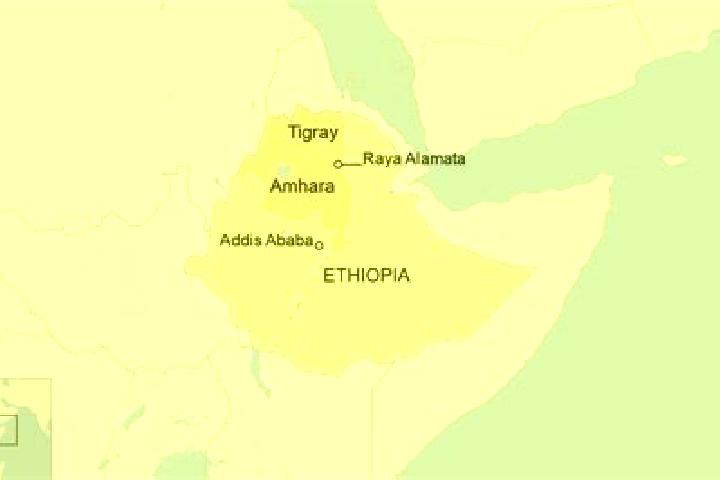 Escorts Alamata, Ethiopia — Local Companions