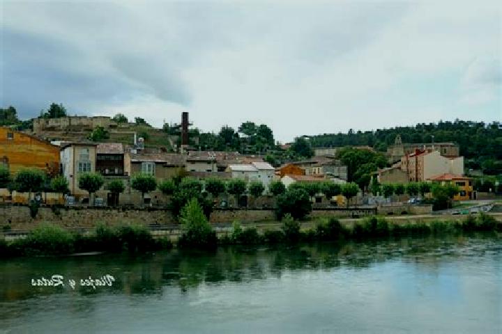 Escorts Alcala de Ebro, Spain — Local Companions