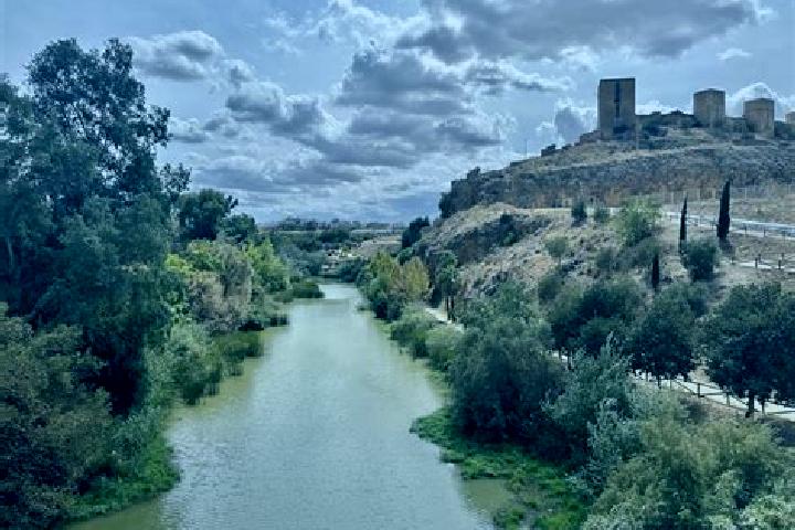Escorts Alcala del Rio, Spain — Local Companions