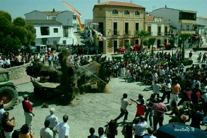 Escorts Aldea del Cano, Spain — Local Companions