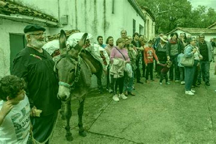 Escorts Aldeanueva del Camino, Spain — Local Companions