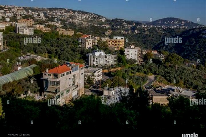 Escorts Aley, Lebanon — Local Companions