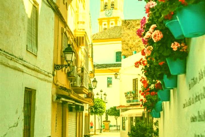 Escorts Alfacar, Spain — Local Companions