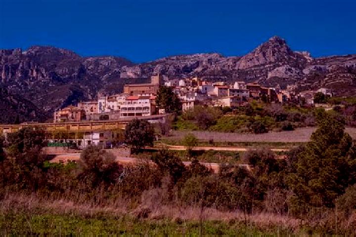Escorts Alfara de Algimia, Spain — Local Companions