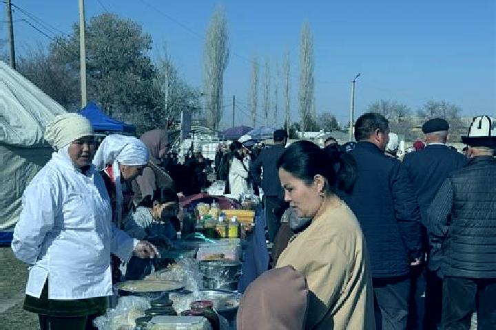 Escorts Alga, Kyrgyzstan — Local Companions