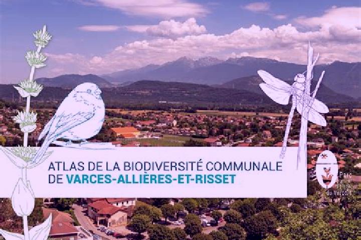Escorts Allieres-et-Risset, France — Local Companions