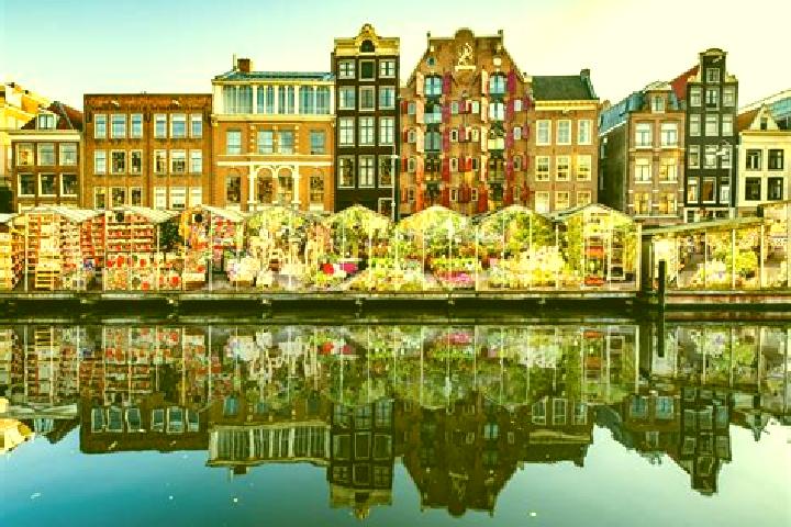 Escorts Almkerk, Netherlands — Local Companions