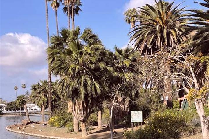 Escorts Alondra Park, United States — Local Companions