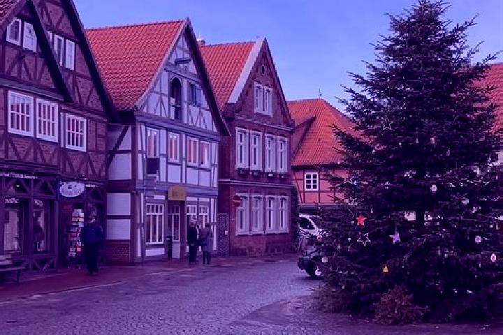 Escorts Alt Brenz, Germany — Local Companions