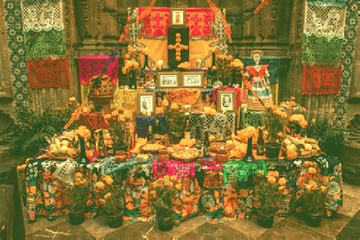 Escorts Altar, Mexico — Local Companions