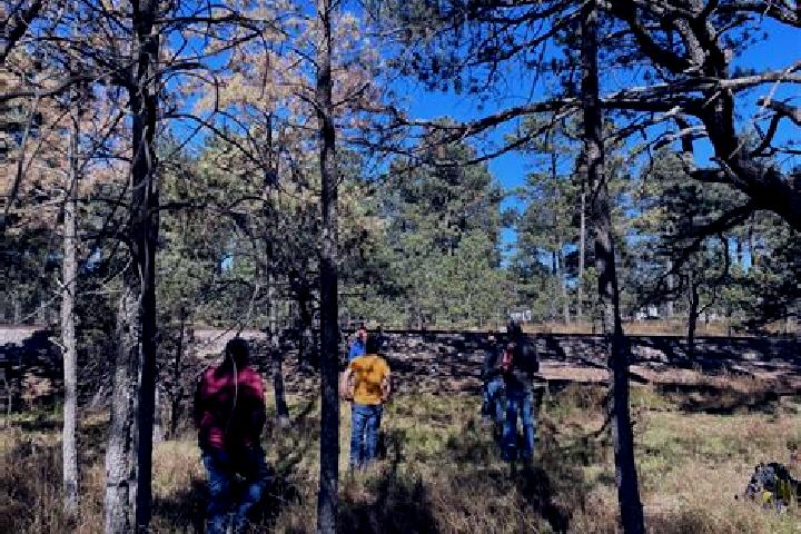 Escorts Altus Bosques, Mexico — Local Companions