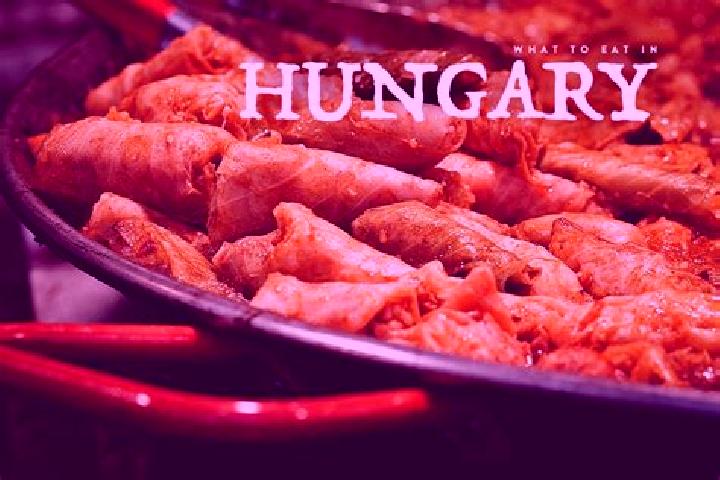 Escorts Ambrozfalva, Hungary — Local Companions