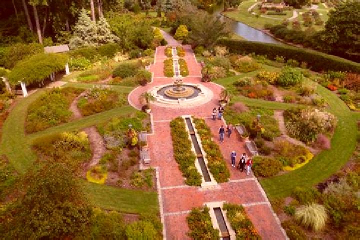 Escorts Amity Gardens, United States — Local Companions