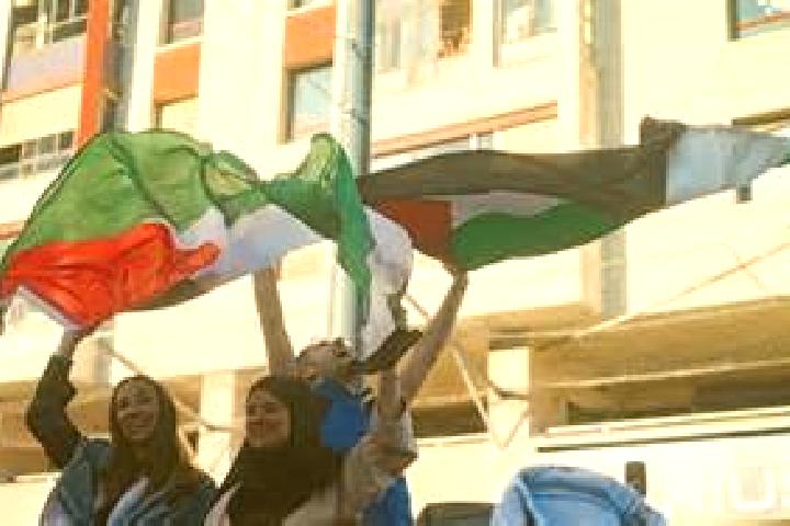 Escorts An Naqurah, Palestine — Local Companions