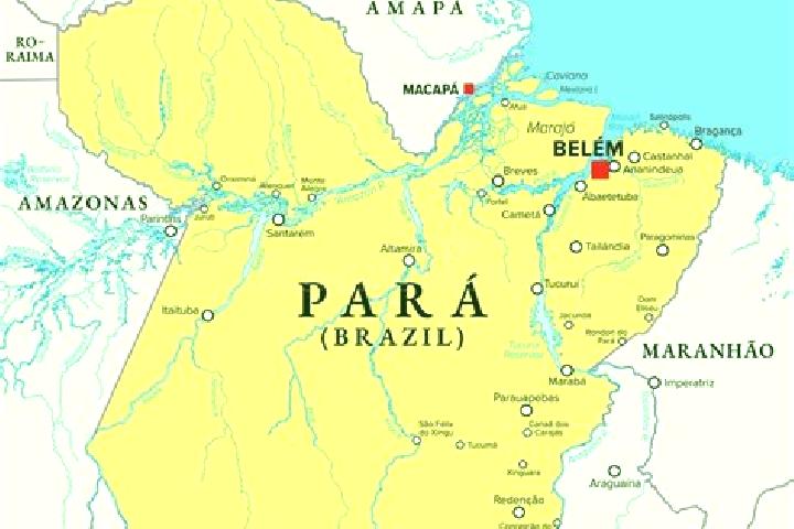 Escorts Ananindeua, Brazil — Local Companions