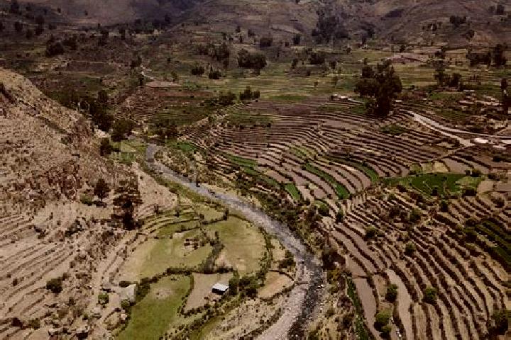 Escorts Andamarca, Peru — Local Companions