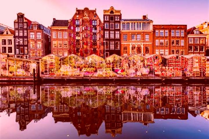 Escorts Andel, Netherlands — Local Companions