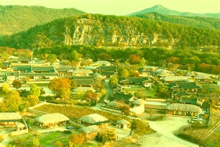 Escorts Andong, South Korea — Local Companions