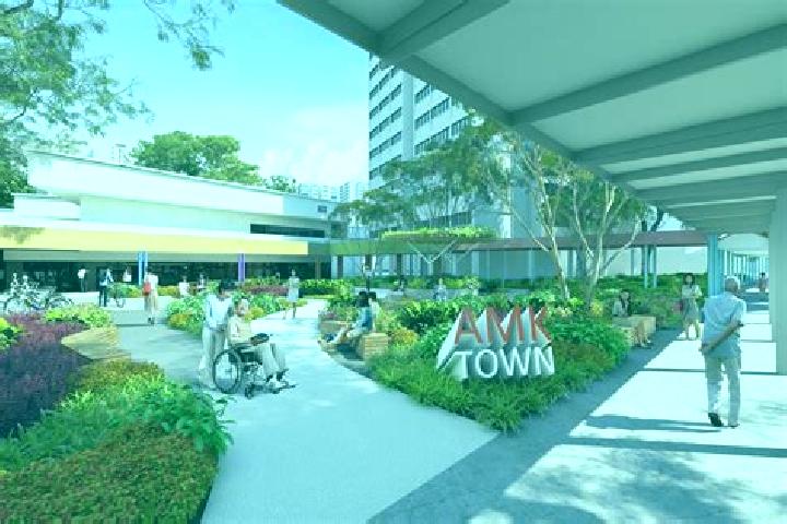 Escorts Ang Mo Kio New Town, Singapore — Local Companions