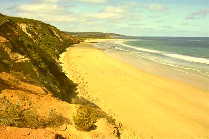 Escorts Anglesea, Australia — Local Companions
