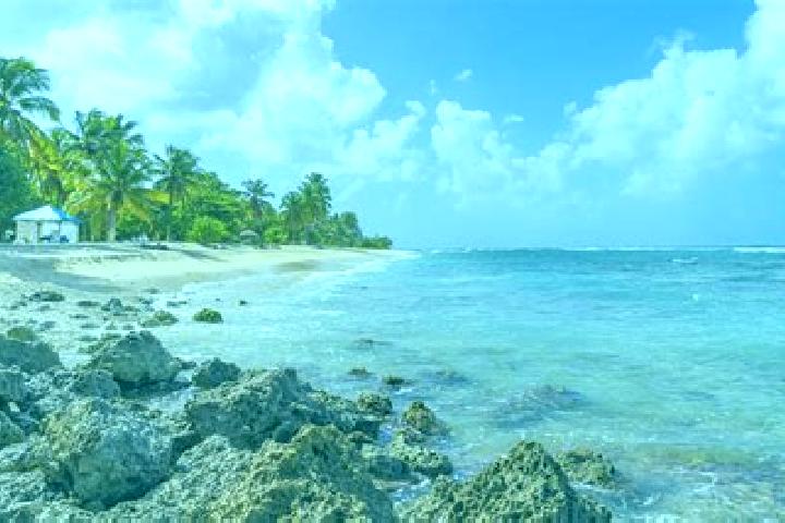 Escorts Anse-Bertrand, Guadeloupe — Local Companions