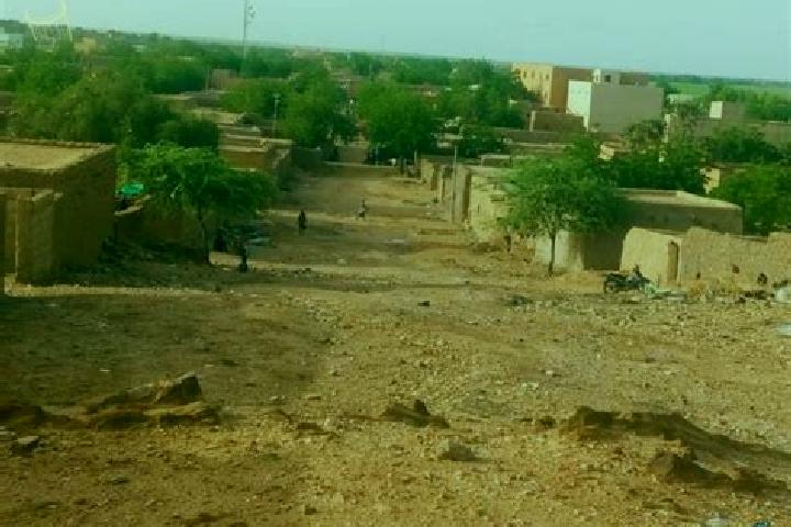 Escorts Ansongo, Mali — Local Companions