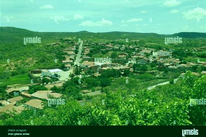 Escorts Antonio Martins, Brazil — Local Companions