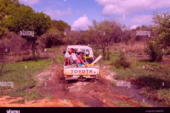 Escorts Antsalova, Madagascar — Local Companions