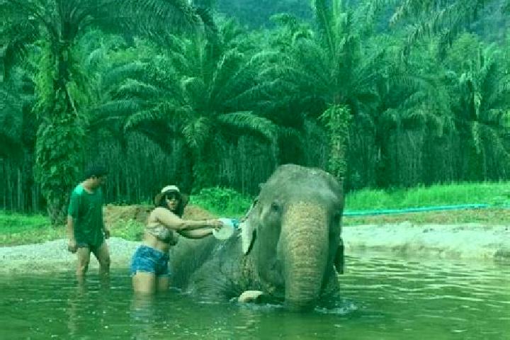 Escorts Ao Luek, Thailand — Local Companions