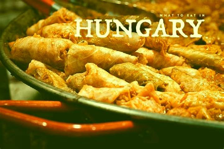 Escorts Apaj, Hungary — Local Companions