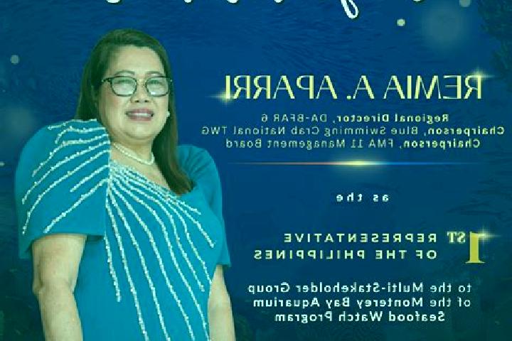 Escorts Aparri, Philippines — Local Companions