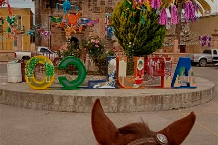 Escorts Apulco, Mexico — Local Companions