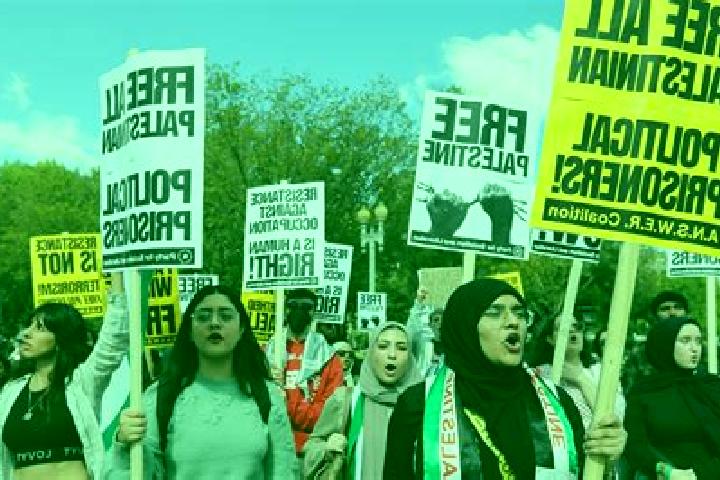 Escorts Ar Rihiyah, Palestine — Local Companions
