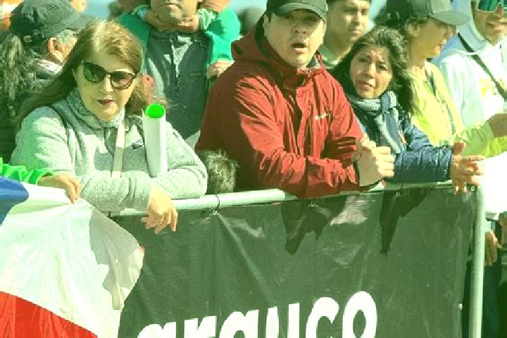 Escorts Arauco, Chile — Local Companions