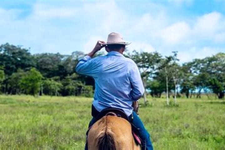 Escorts Arauquita, Colombia — Local Companions