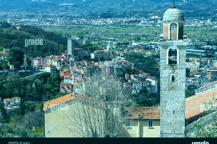 Escorts Arcola, Italy — Local Companions