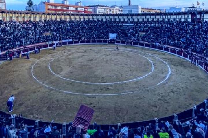 Escorts Arenas de San Pedro, Spain — Local Companions