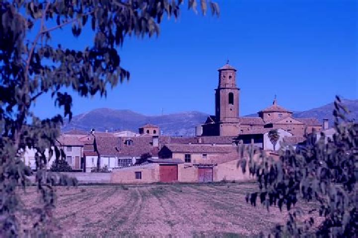Escorts Argavieso, Spain — Local Companions