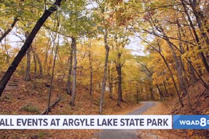 Escorts Argyle Park, Canada — Local Companions